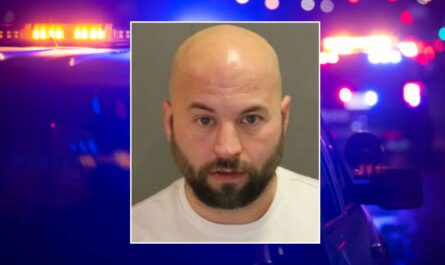 Veteran, 75, Remains in Coma After Alleged Assault by DoorDash Driver in Michigan Neighborhood