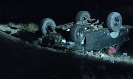 Grand Junction Man Suffers Life-Threatening Injuries After Hitting Horse on I-70 Near Fruita